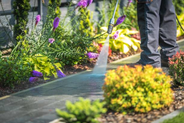 Best Patio and Deck Pressure Washing  in Glasco, NY